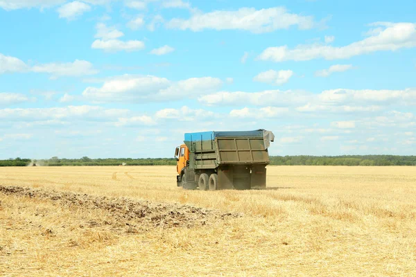 Camion in campo e cielo blu — Foto Stock