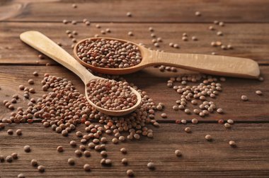 Kaşık ile sağlıklı mercimek 