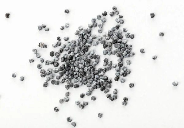 Ripe poppy seeds — Stock Photo, Image