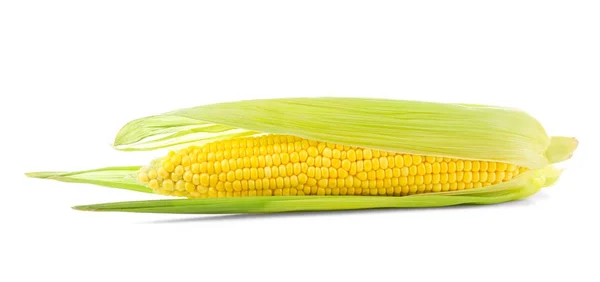 Espiga de milho fresca — Fotografia de Stock