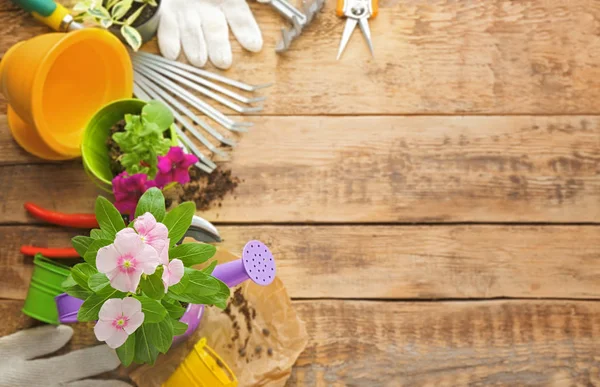 Plants and gardening tools — Stock Photo, Image