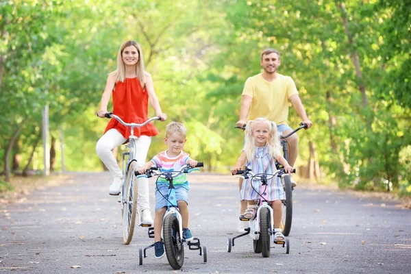 Paardrijden fietsen in park op zonnige dag en gelukkige familie — Stockfoto