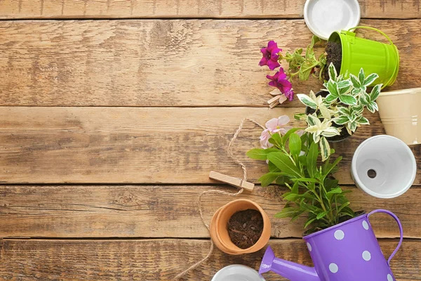 花と植木鉢の組成 — ストック写真