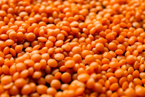 Healthy lentils  closeup — Stock Photo, Image