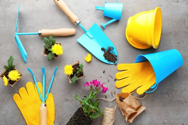 Plants and gardening tools — Stock Photo, Image
