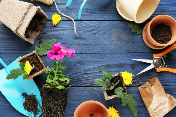 Plantas y herramientas de jardinería —  Fotos de Stock