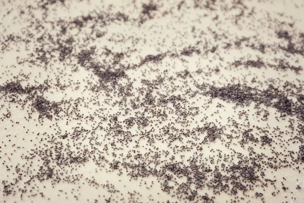 Raw dough with poppy seeds — Stock Photo, Image