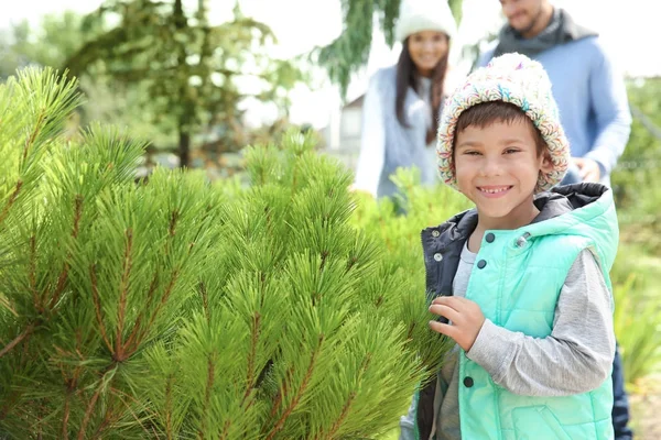 Sevimli çocuk ve ailesi Noel ağacı Market