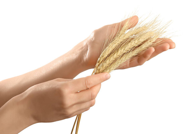 Руки держат пшеницу
 