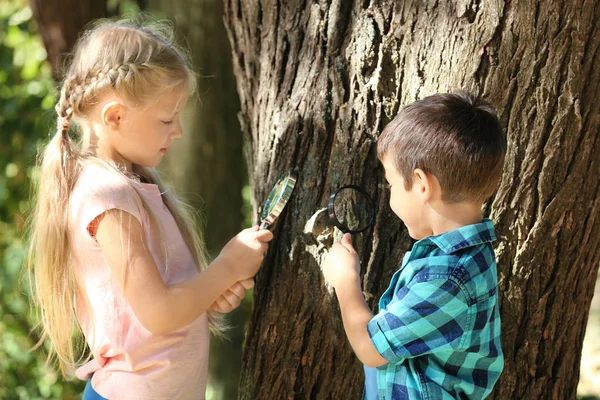 Söpöt pienet lapset katselevat puun kuorta suurennuslasien läpi puistossa — kuvapankkivalokuva