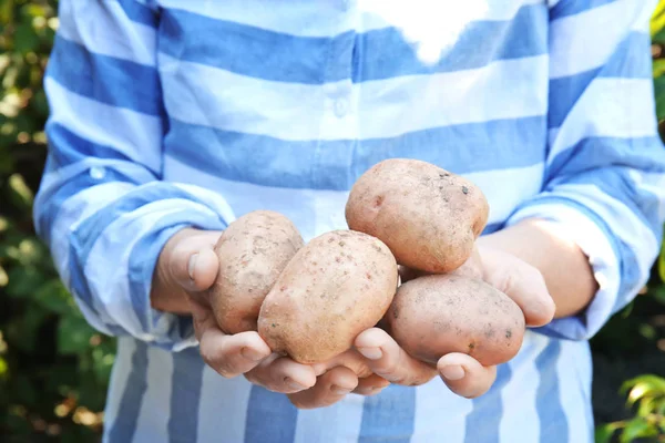 Female farmer holding fresh potatoes — Stock Photo, Image
