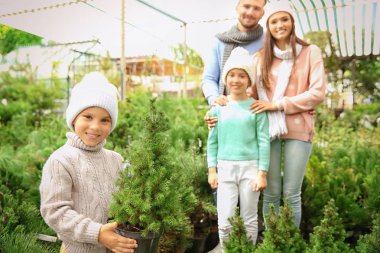 Mutlu aile Noel ağacı Market