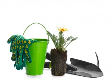 Beyaz arka plan üzerinde çiçek açan bitki ve Bahçe araçları ile kompozisyon