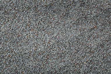 olgun haşhaş tohumları 