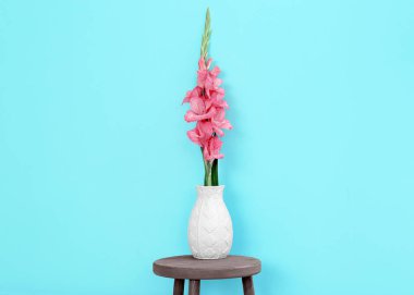 Glayöl dışkı moda renk arka plan üzerinde vazoda