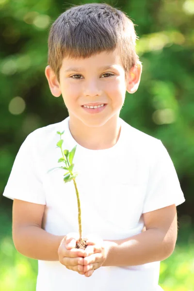 Anak manis memegang tanaman hijau di luar ruangan — Stok Foto
