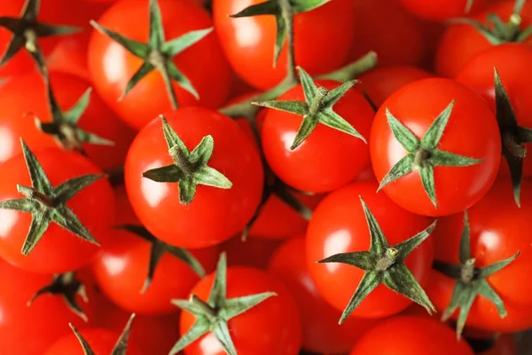 Tomates cereja maduros — Fotografia de Stock