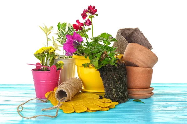 Plants and gardening gloves — Stock Photo, Image