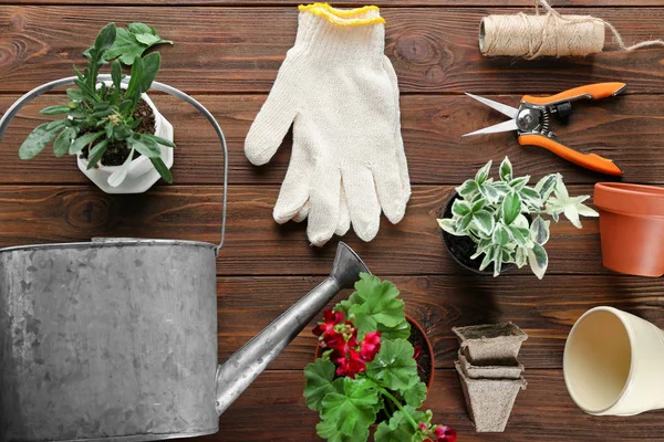 Plants and gardening tools — Stock Photo, Image