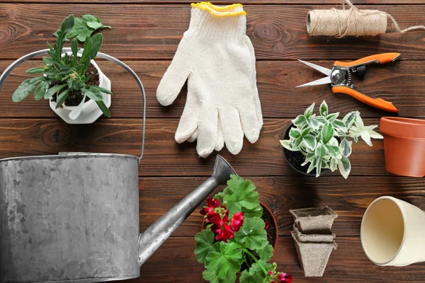 plants and gardening tools