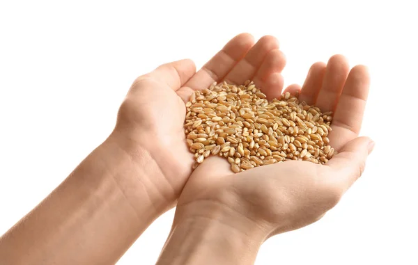 Mani di donna che tengono i chicchi di grano su sfondo bianco — Foto Stock