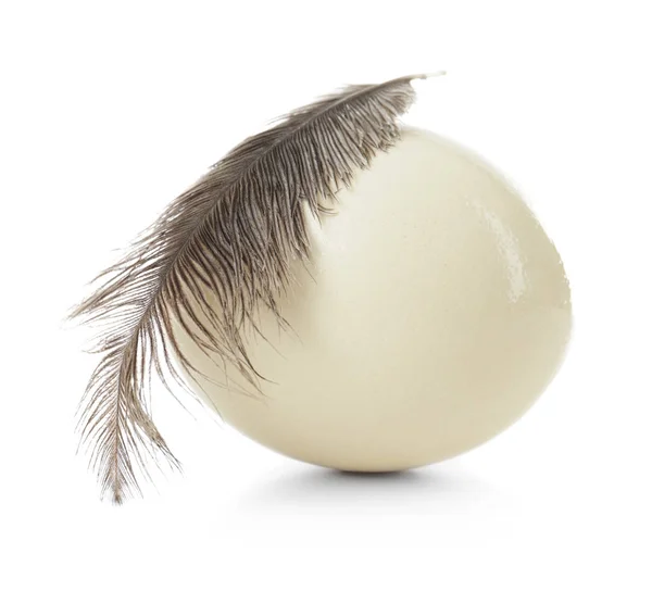 Huevo y pluma de avestruz — Foto de Stock