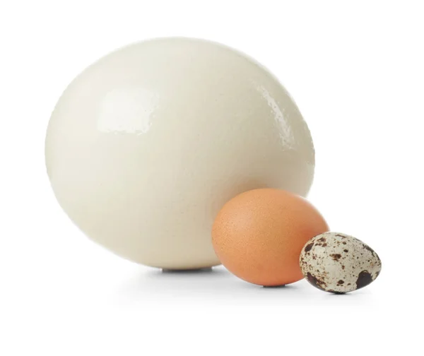 Avestruz, ovos de galinha e codorniz — Fotografia de Stock