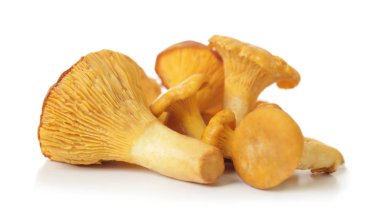beyaz zemin üzerine chanterelles