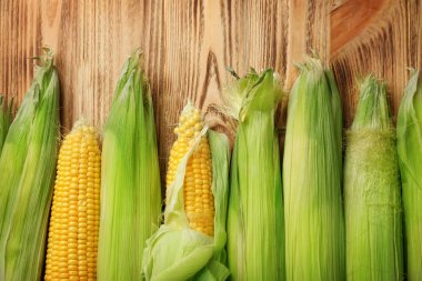 taze mısır koçanı