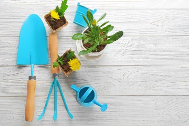 Bitkiler ve Bahçe aletleri