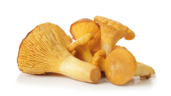 흰색 배경에 chanterelles — 스톡 사진