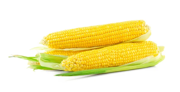 Friss kukorica csövek — Stock Fotó