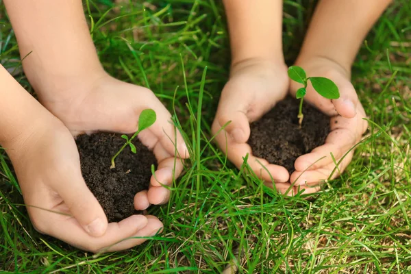 Dzieci gospodarstwa gleby i roślin — Zdjęcie stockowe