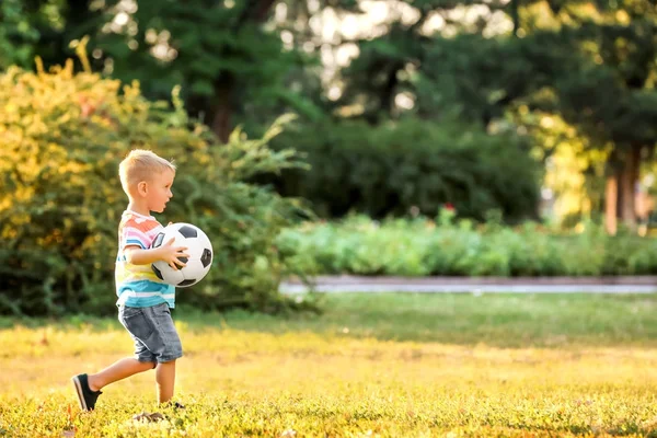 Милый мальчик играет в футбол в парке в солнечный день — стоковое фото