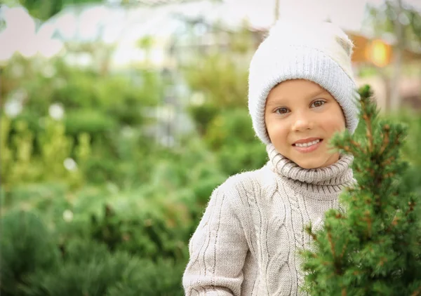 Cute chłopiec Drzewo Christmas Market — Zdjęcie stockowe