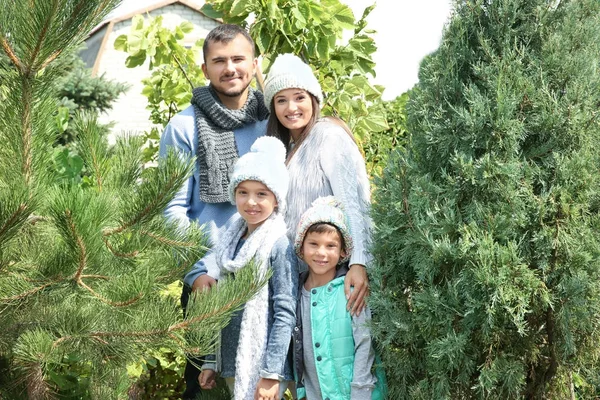 Mutlu aile Noel ağacı Market — Stok fotoğraf