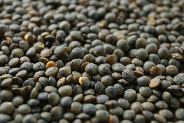 Healthy lentils  closeup — Stock Photo, Image