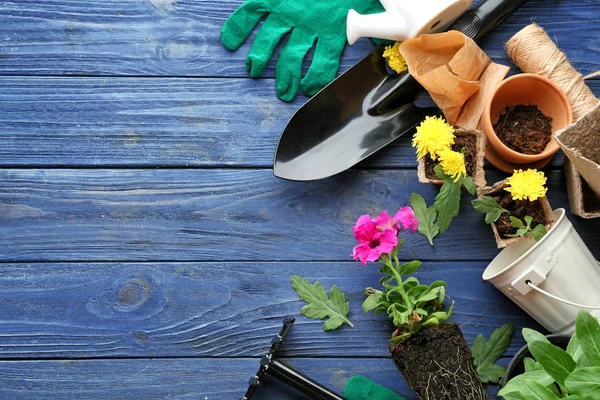 Rośliny i narzędzia ogrodnicze — Zdjęcie stockowe
