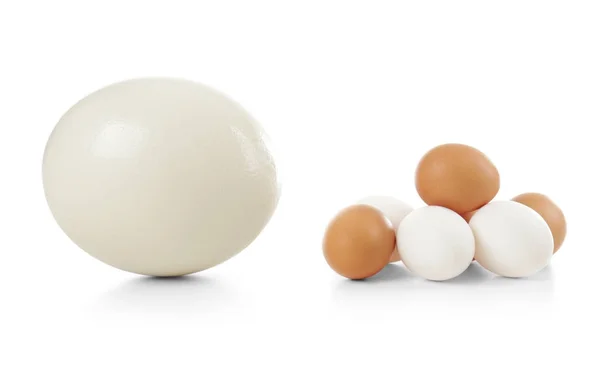 Devekuşu ve tavuk yumurta — Stok fotoğraf