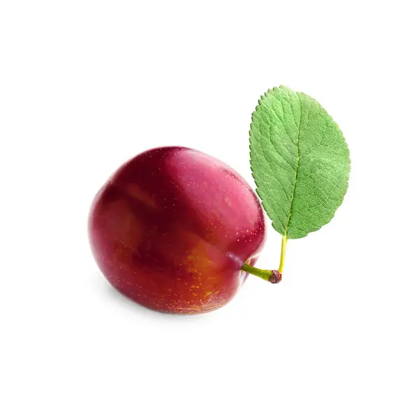 Fresh ripe plum — Stock Photo, Image