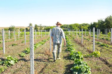 Alanda yürüyüş çiftçi