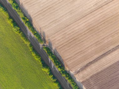 Güzel tarımsal alanları