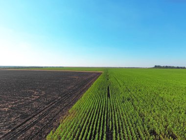 Güzel tarımsal alanları