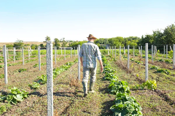Alanda yürüyüş çiftçi
