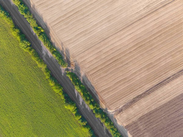 Красивые агрополя
