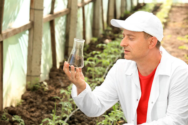 Зрелый фермер держит фляжку с почвой в теплице
