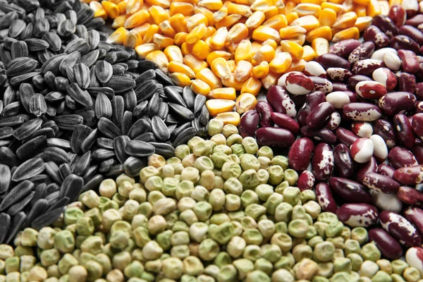 Diferentes cereais e leguminosas — Fotografia de Stock
