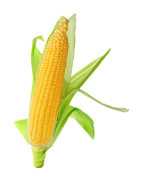 Fresh corn cob — Stock Photo, Image