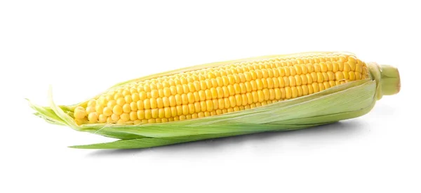 Fresh corn cob — Stock Photo, Image