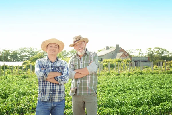 Two farmers standing in field with green plants